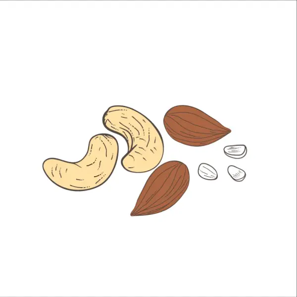 Nuts & Seeds
