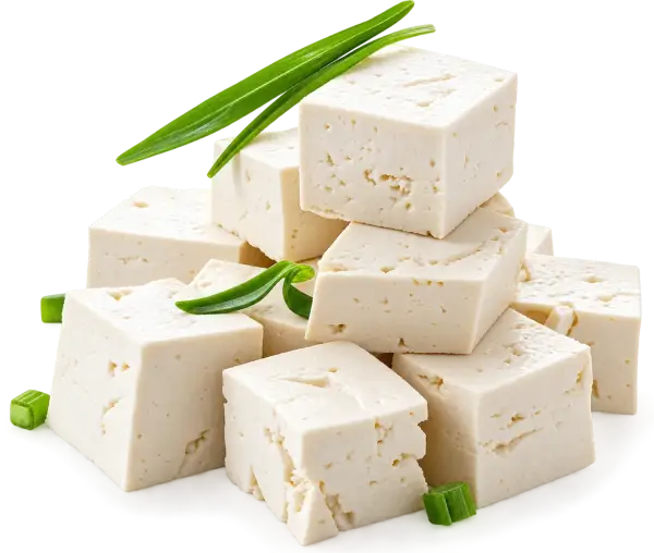চট্টগ্রামের ঐতিহ্যবাহী পনির